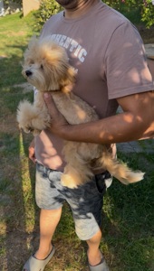 Розумний Хлопчик