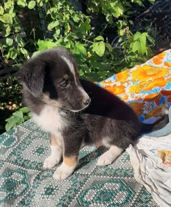 Малята в добрі ручки!