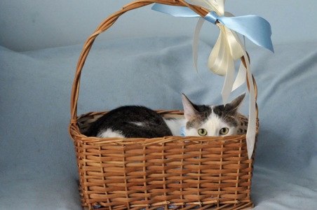 Кошеня Саша