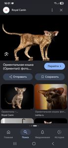 Донечка рудої Матусі