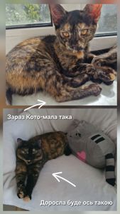 Донечка рудої Матусі