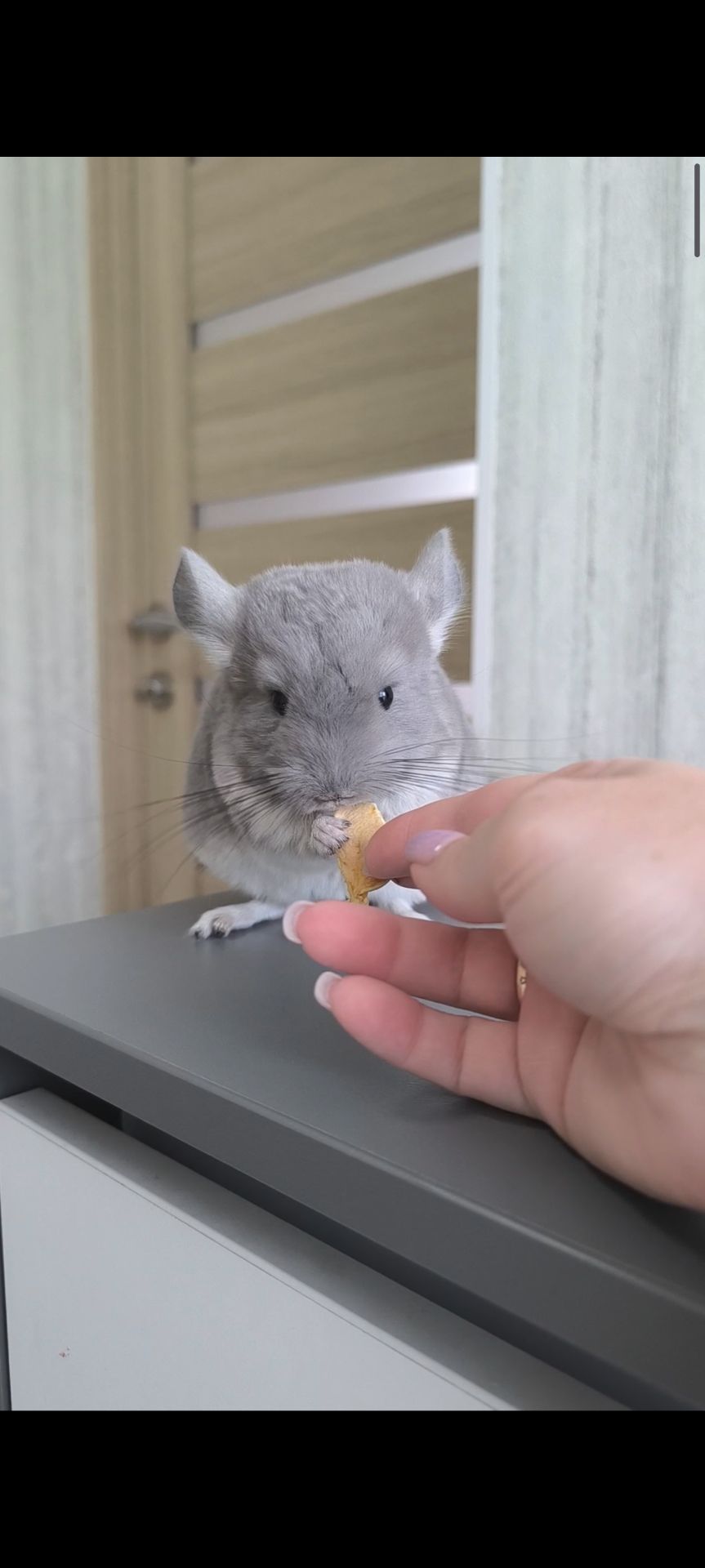 Хлопчик фіолет