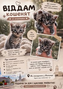 Кошенята