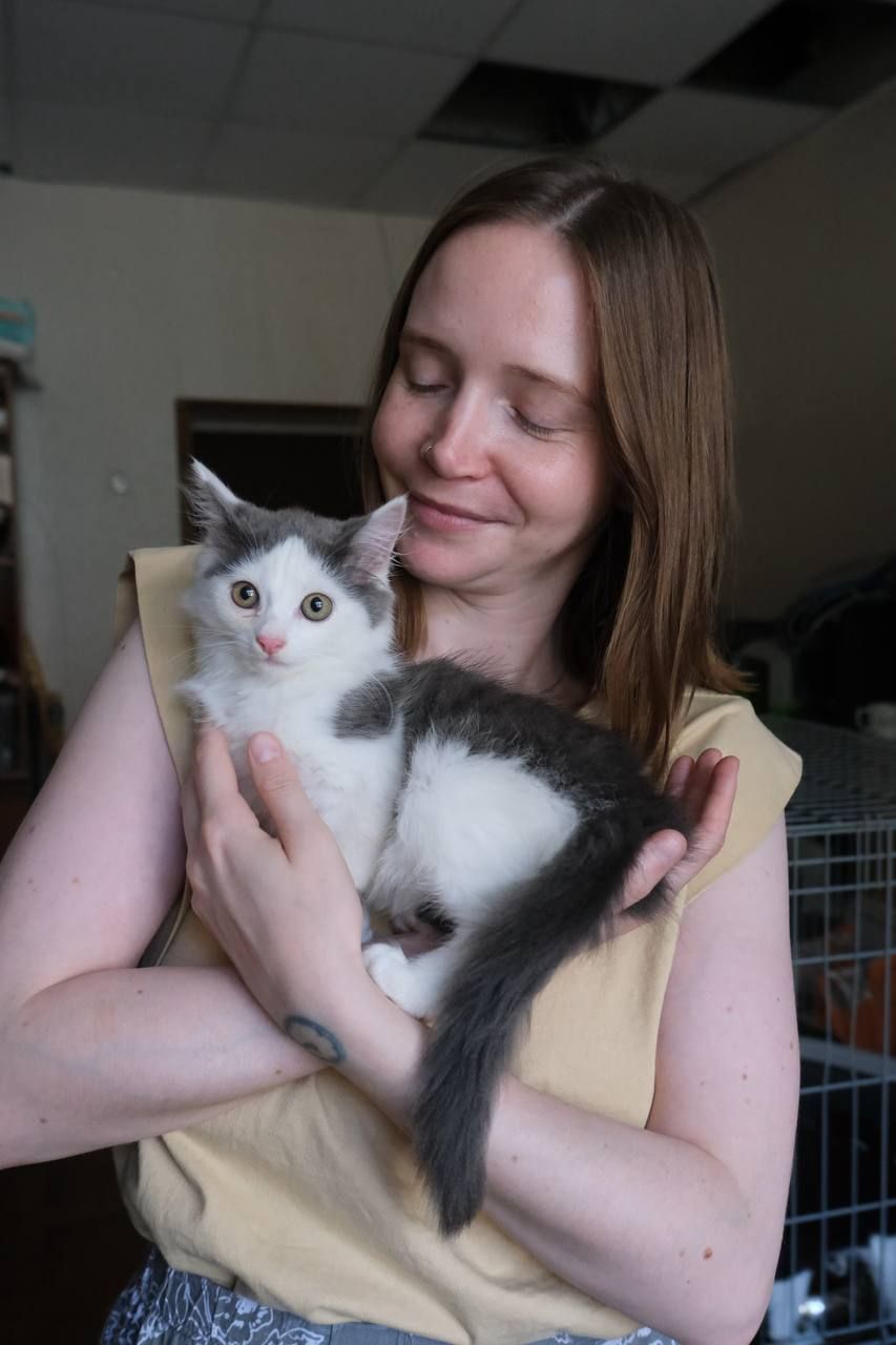 Кошенятко Льодяник
