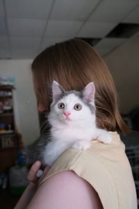 Кошенятко Льодяник