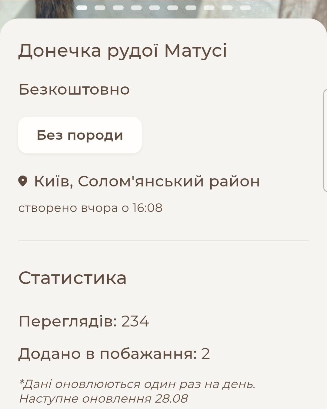 СонячноЗолотаве з шоколадним Кошеня вік три місяці