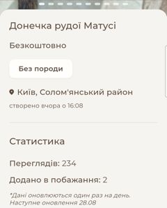 СонячноЗолотаве з шоколадним Кошеня вік три місяці