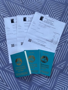Щенки Той пуделя, два мальчика одна девочка