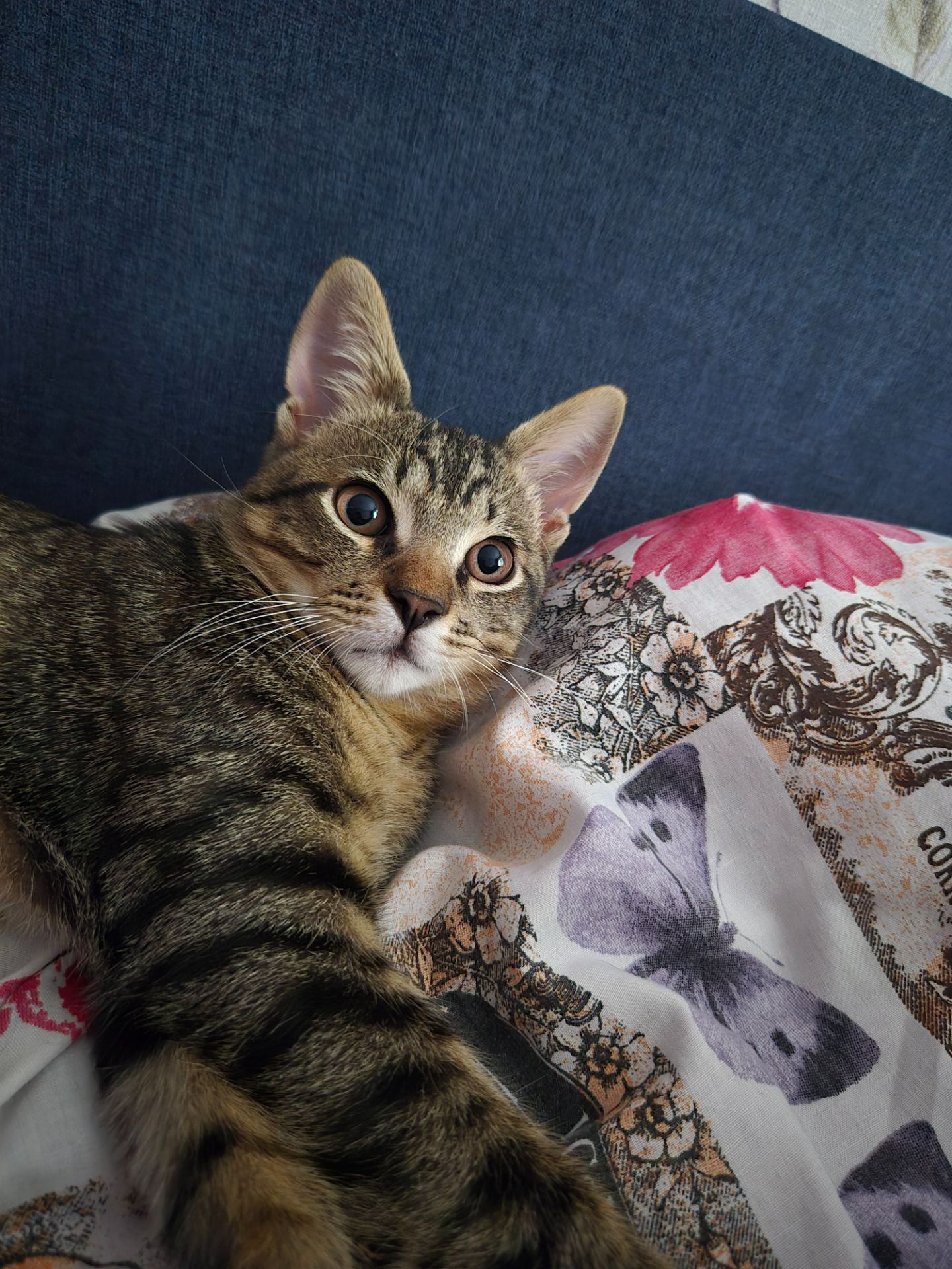 Марина