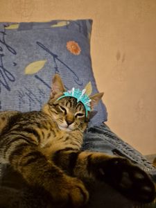 Марина