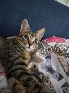 Марина