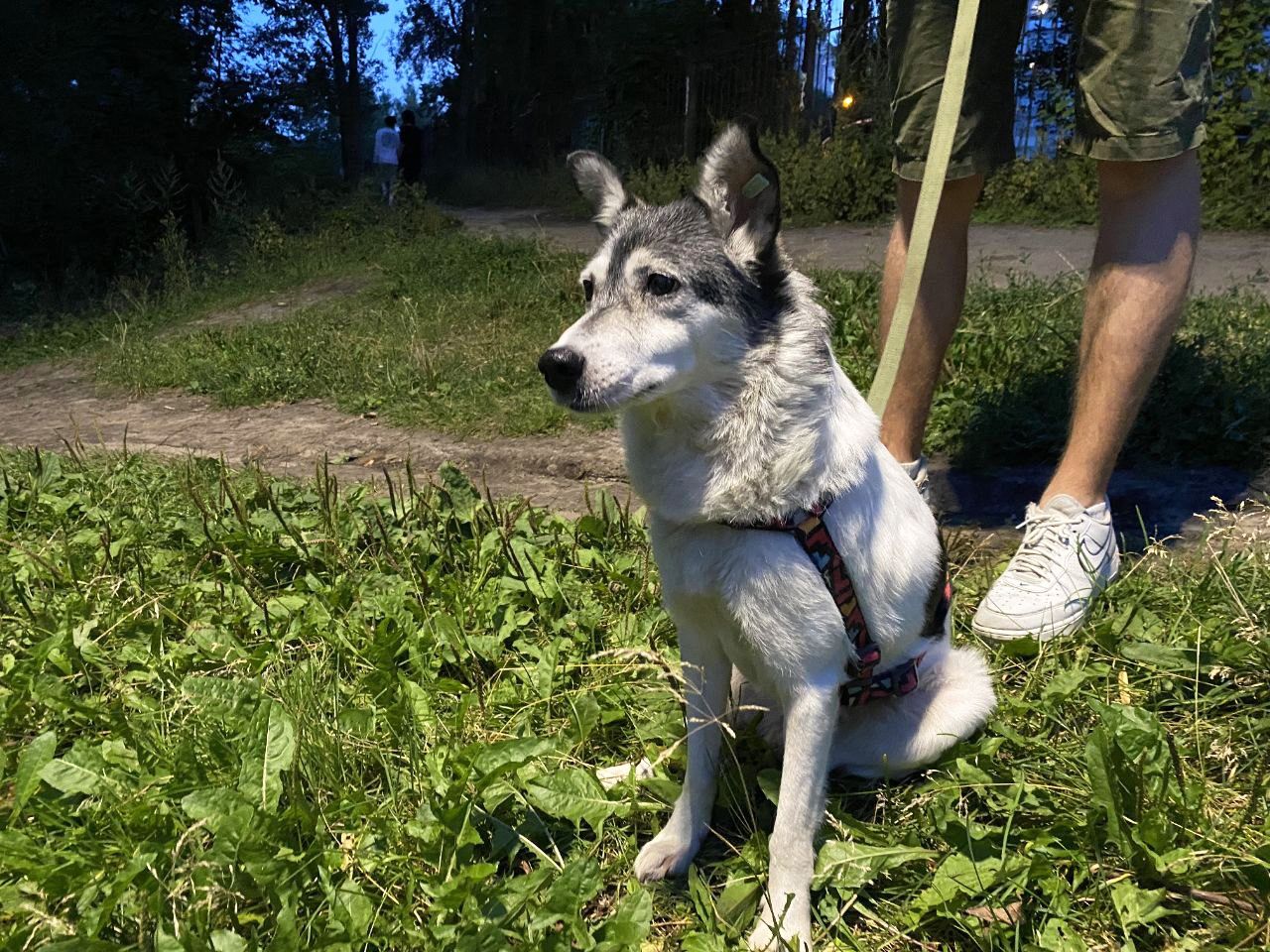 Маруся