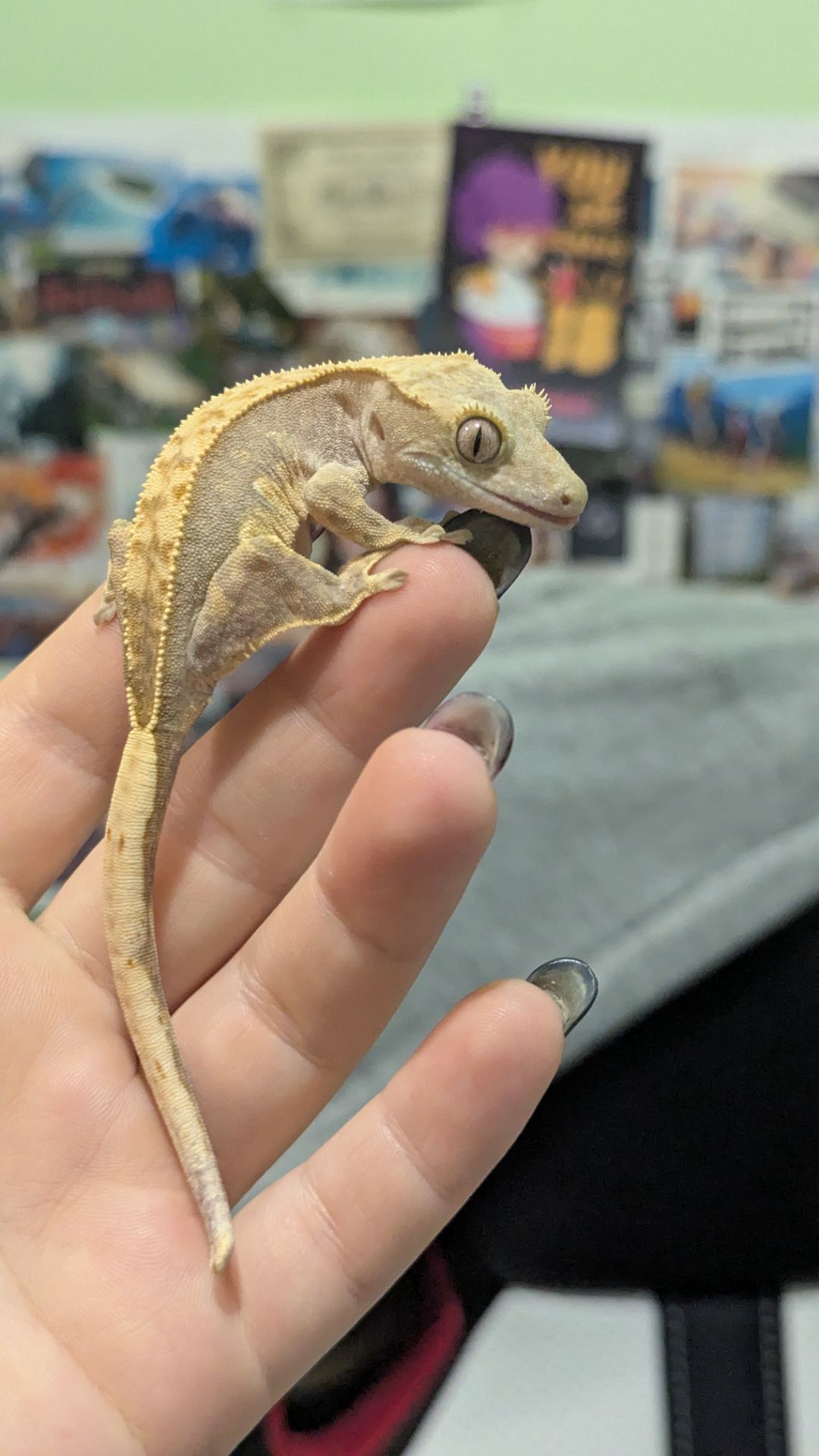 Продам бананоїда