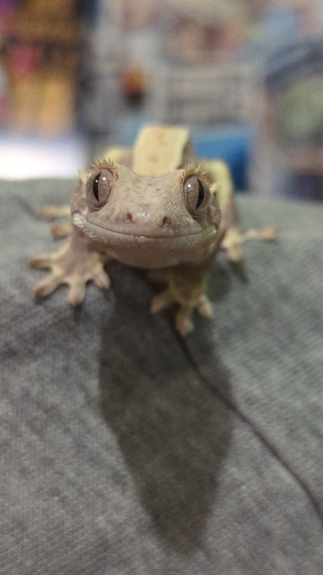 Молодий бананоїд