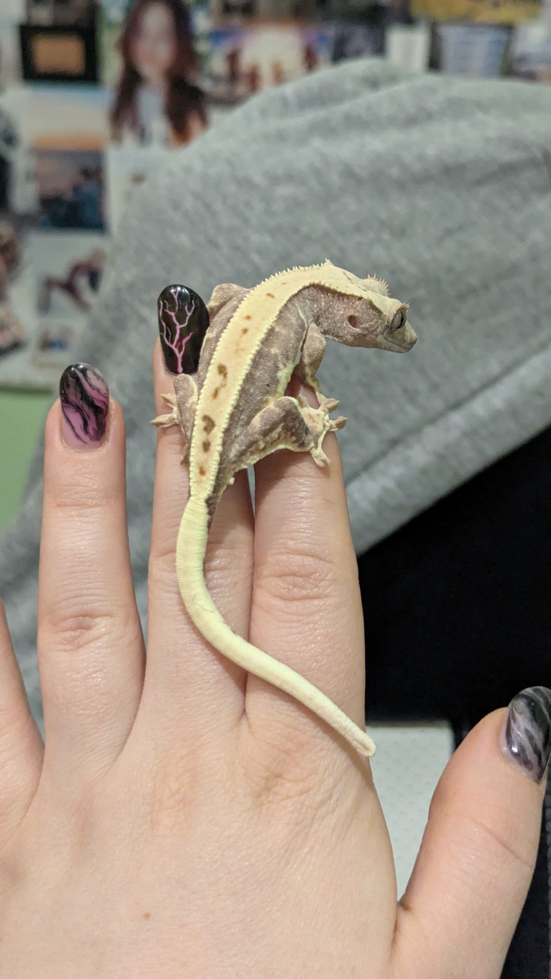 Молодий бананоїд