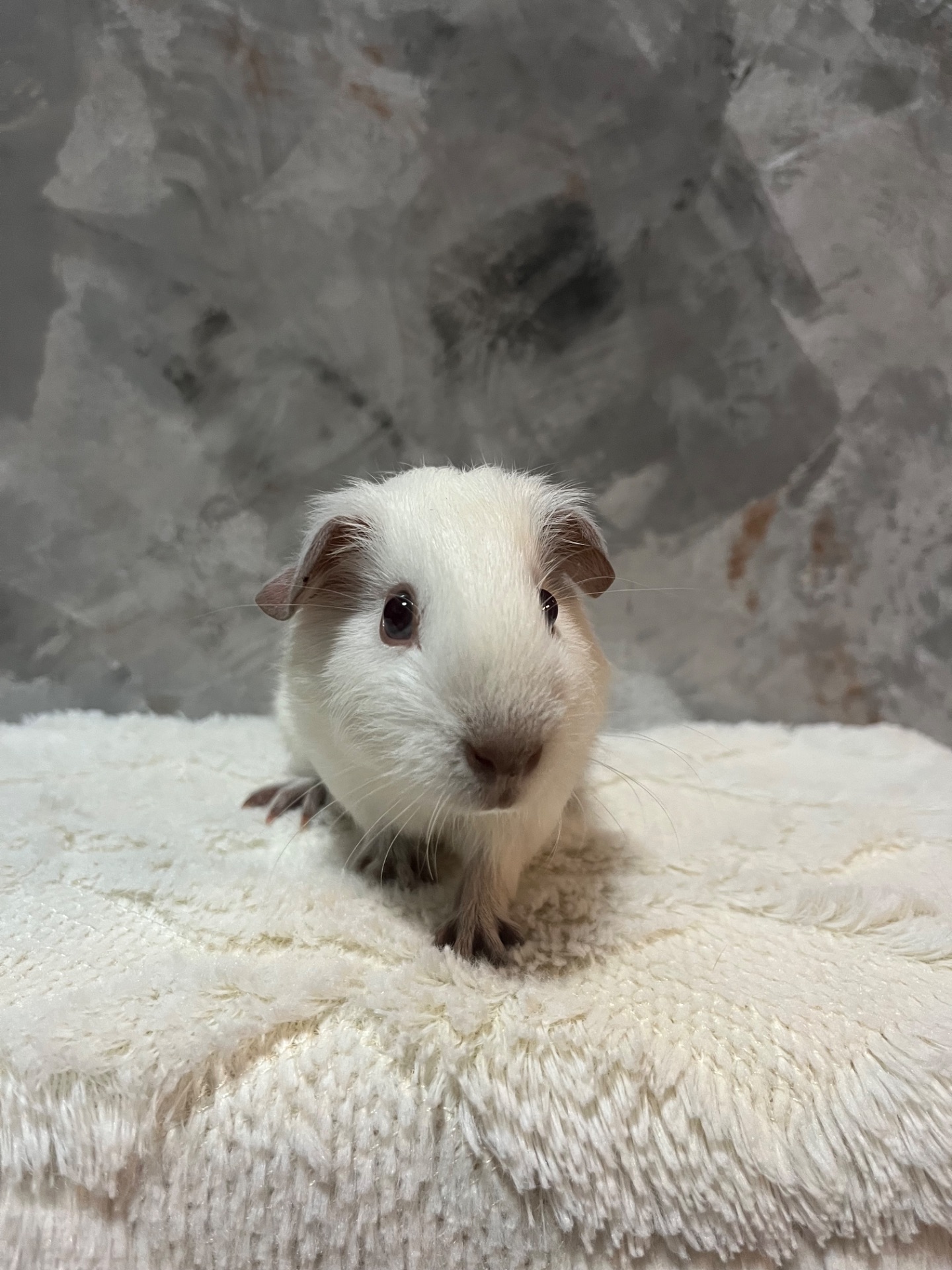 Гімалайський хлопчик