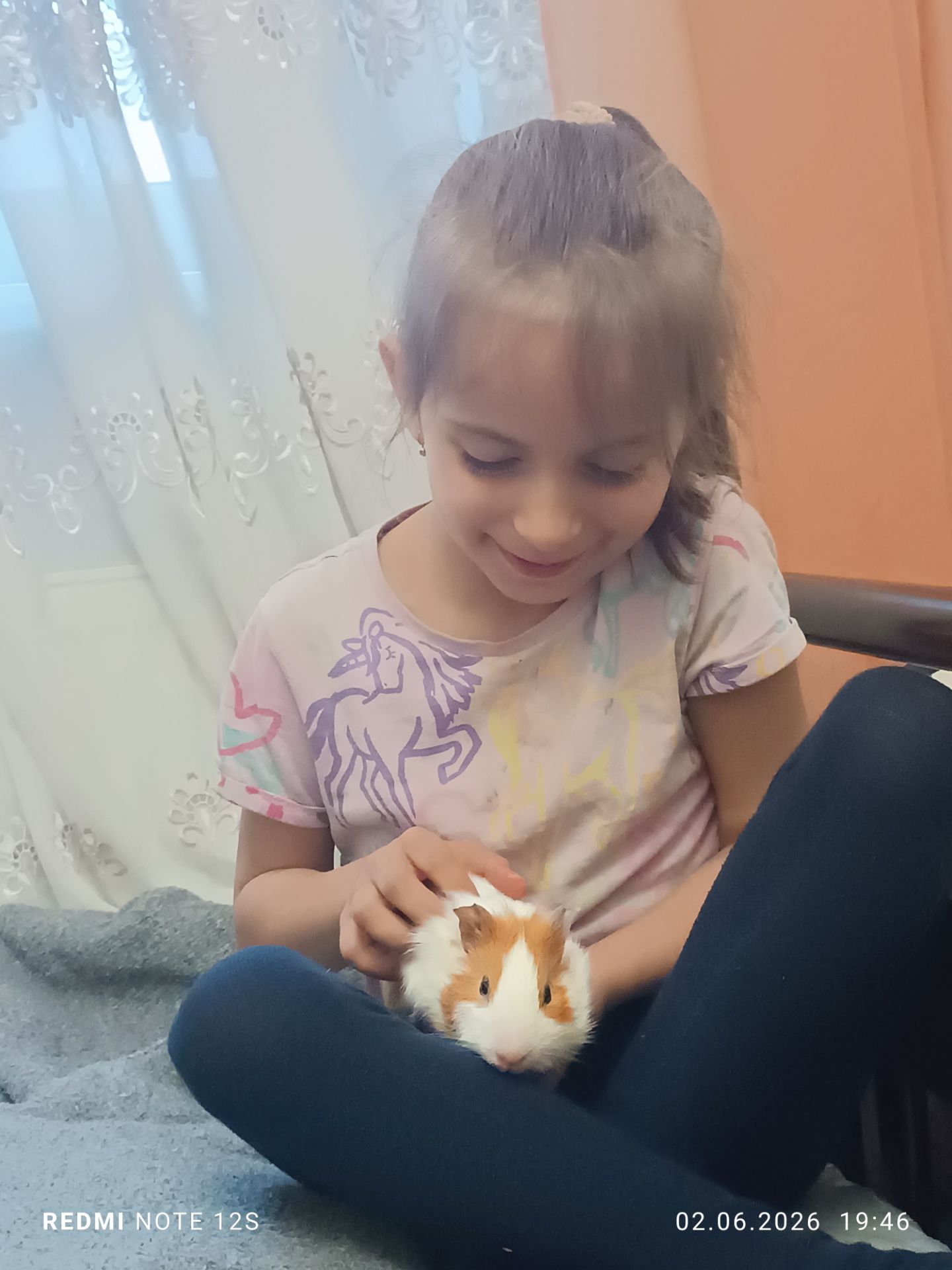 Морські свинки