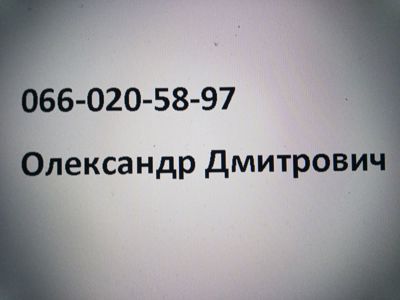 Канарки вівсяного наспіву Кенарі