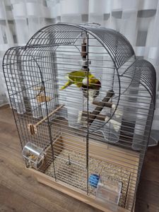 Молодий Какарік з кліткою