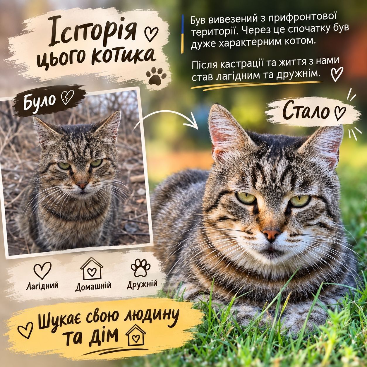 Бубля Прифронтовий