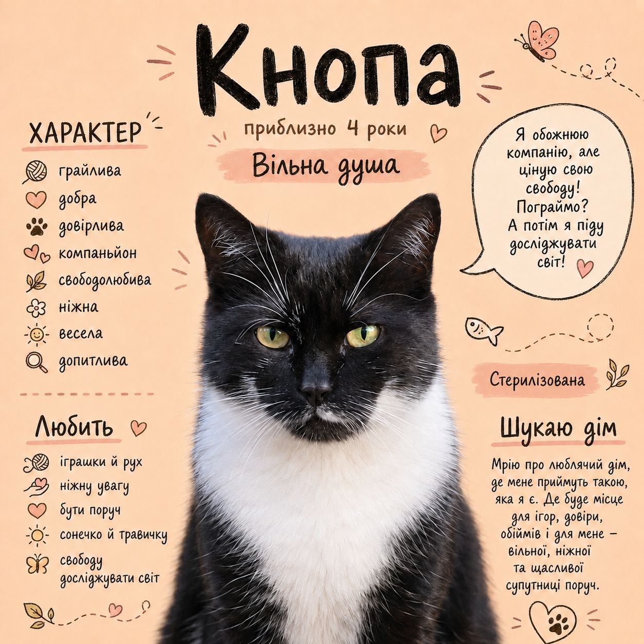 Кнопа