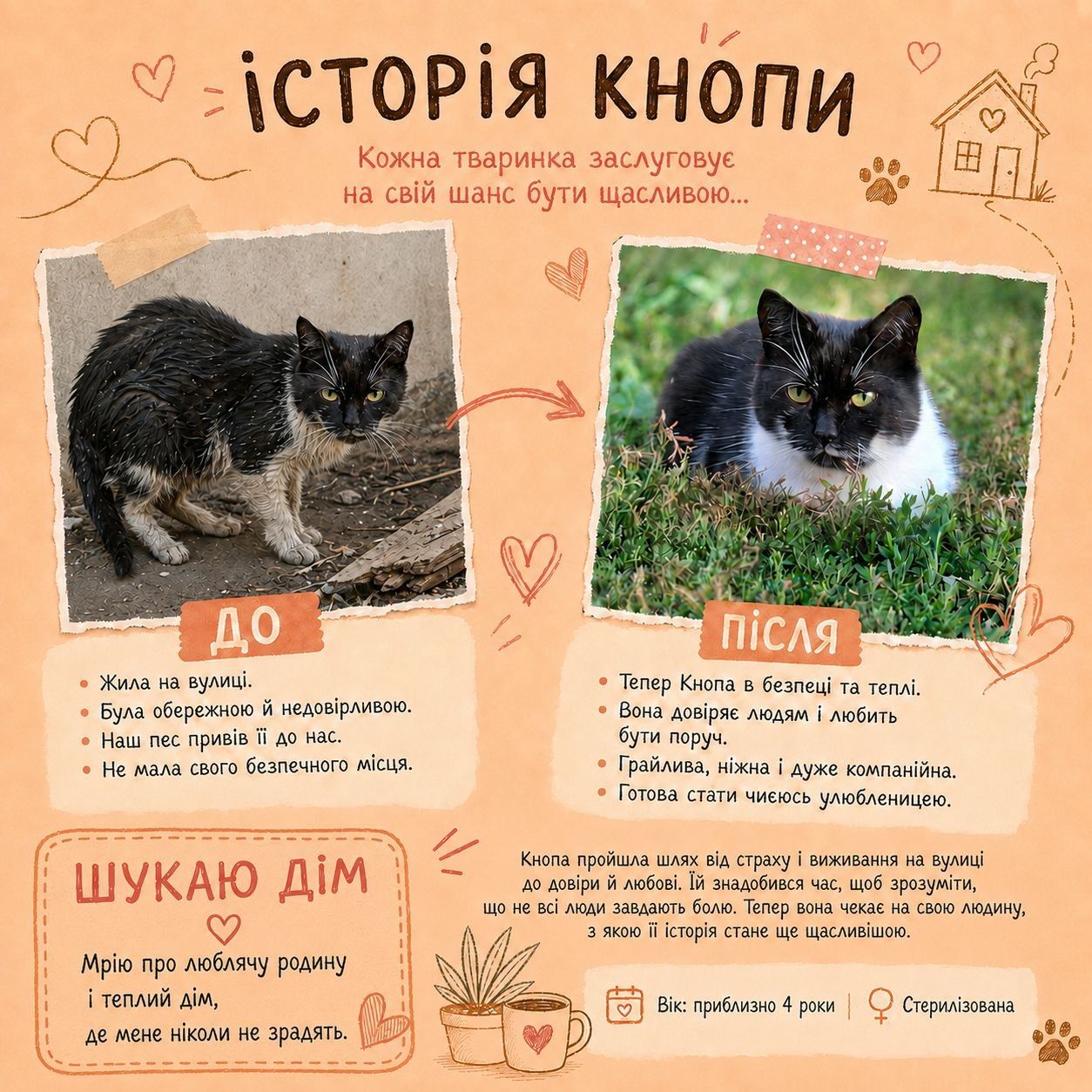 Кнопа