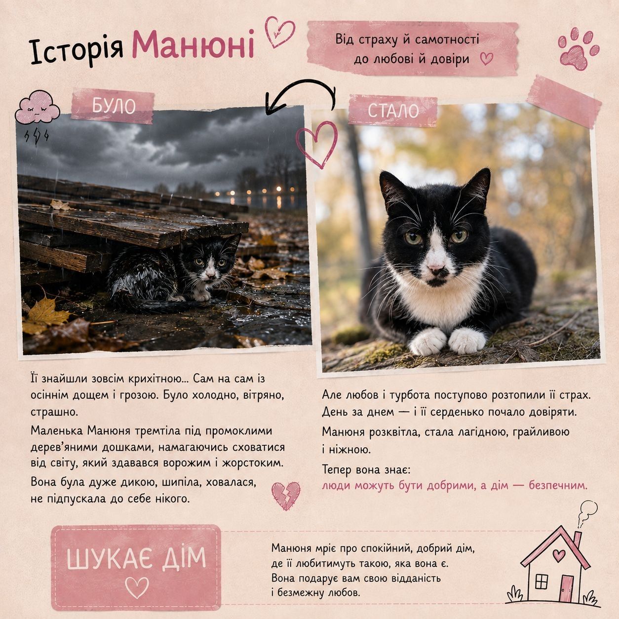 Манюня з прифронтової зони