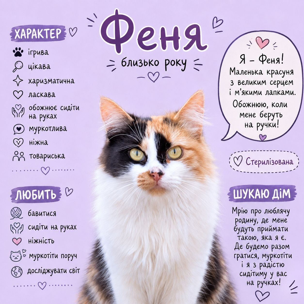 Феня з прифронтового району