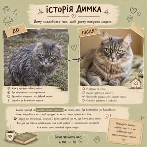 Димко з прифронтової зони