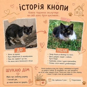 Кнопа