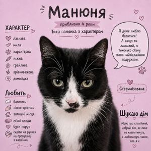 Манюня з прифронтової зони