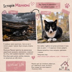 Манюня з прифронтової зони
