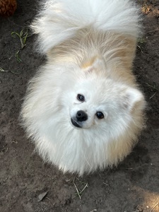 Неймовірний хлопець шукає сімʼю