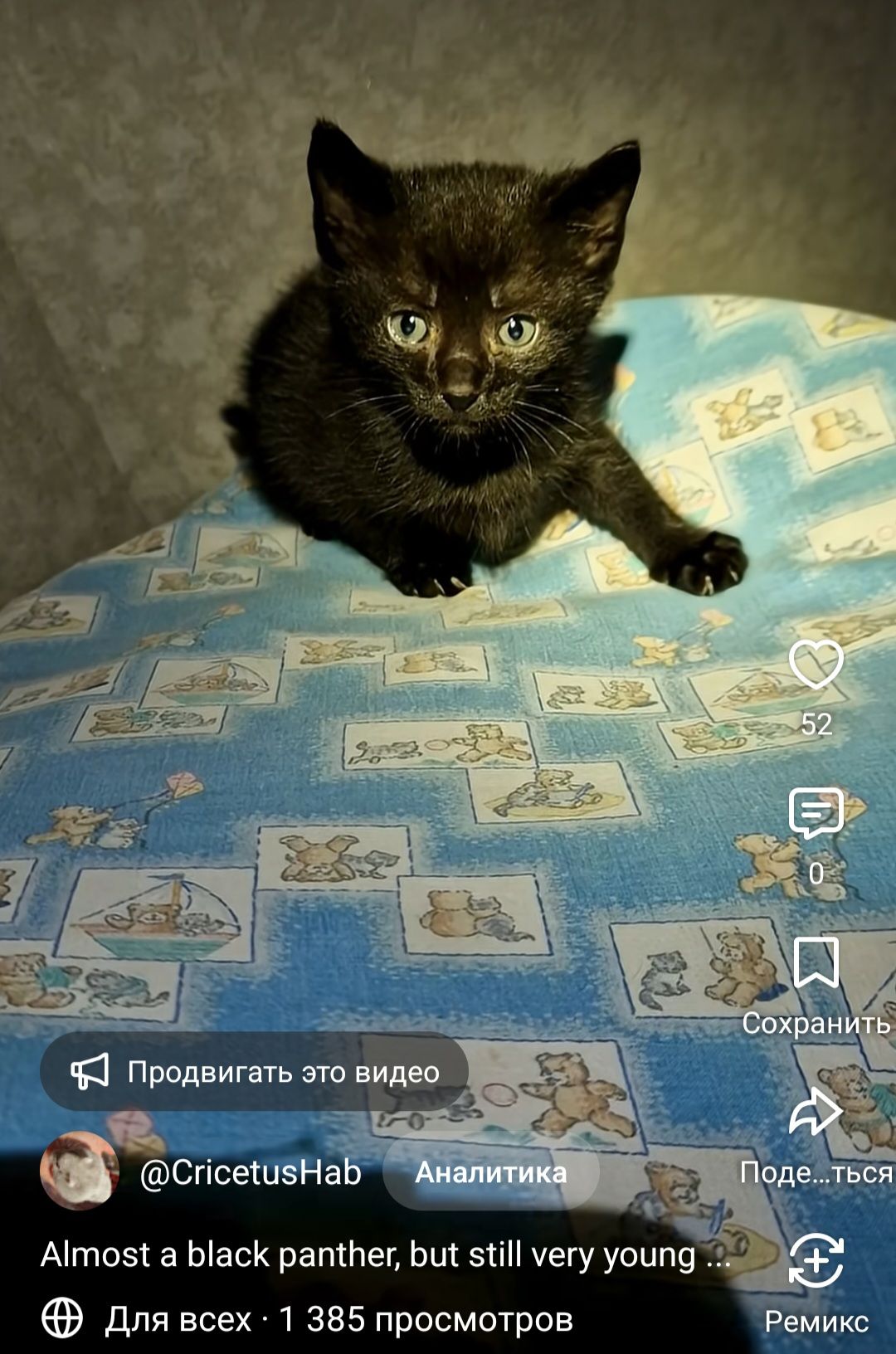 Чорне Норкове Кошеня вік 1 місяць