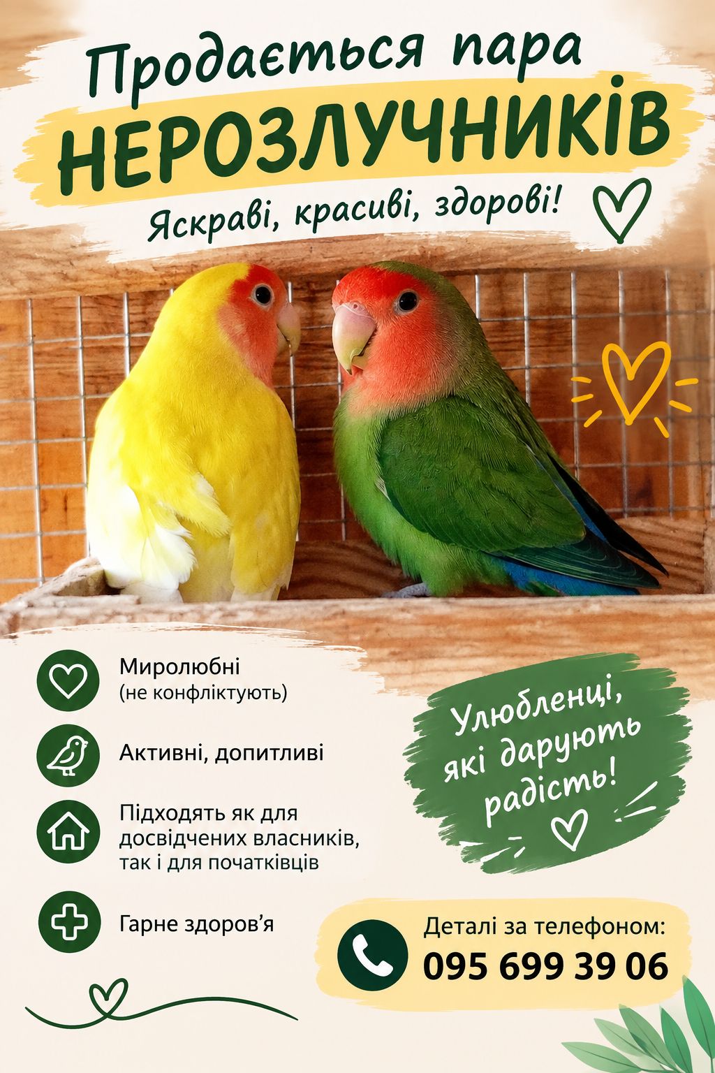 нерозлучники пара в добрі руки разом з кліткою