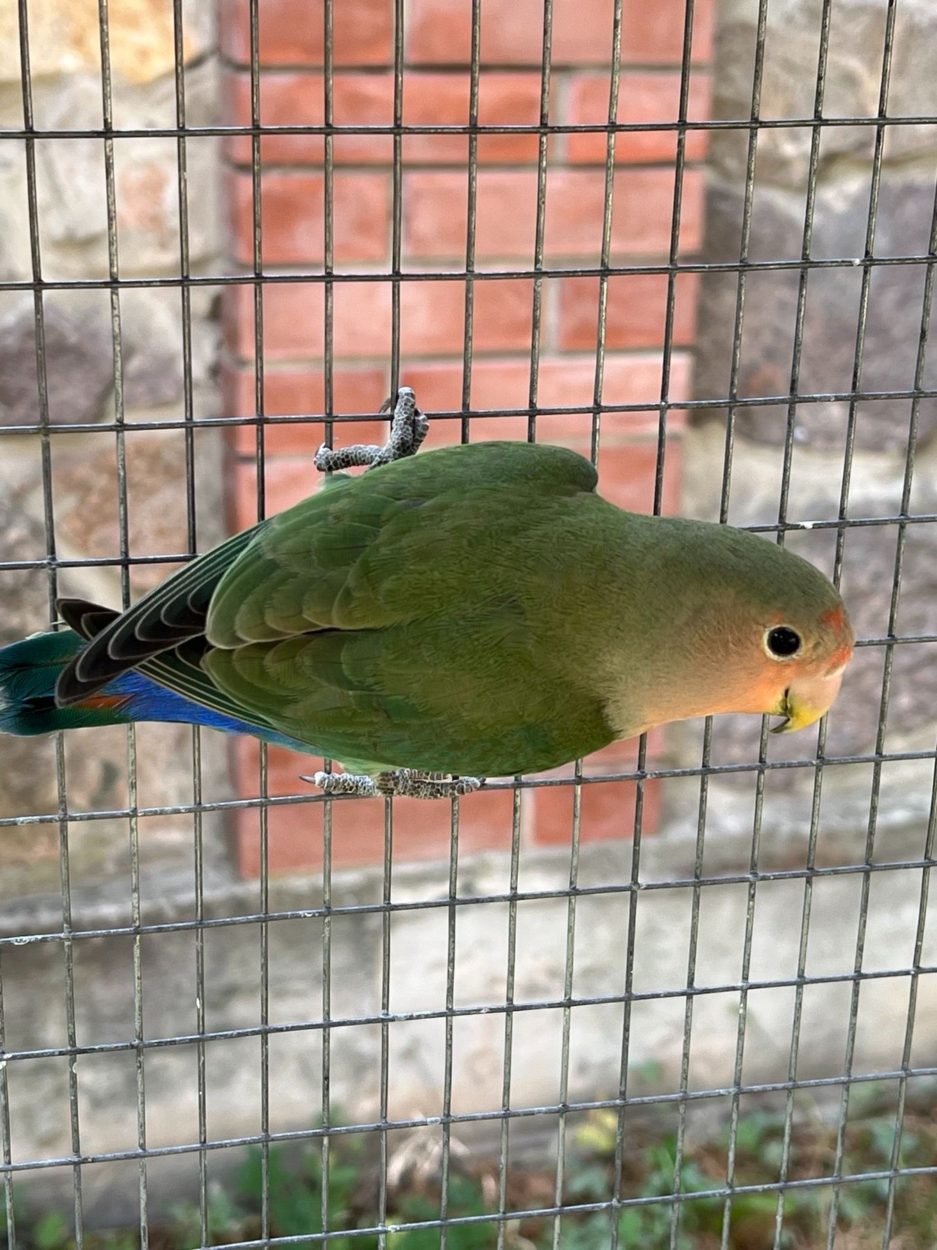 Сергій