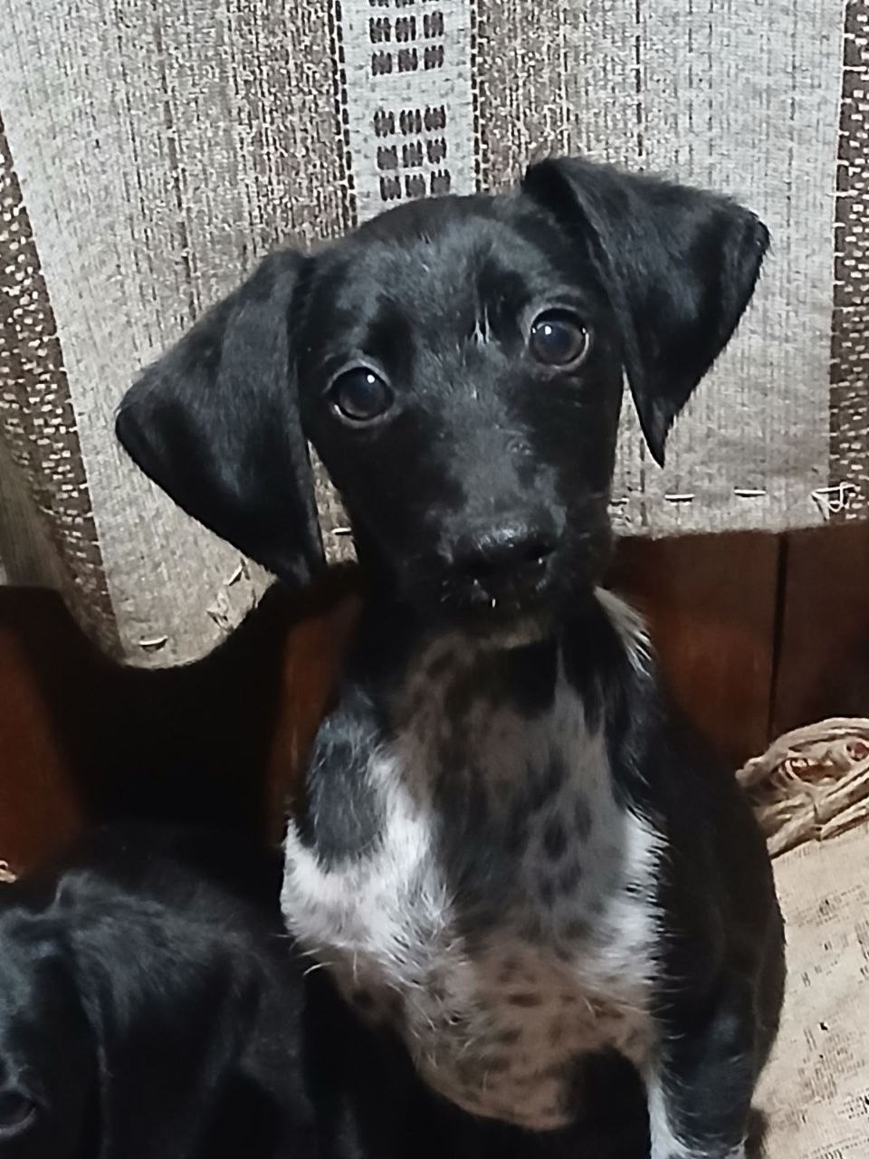 Маленький хлопчик шукає родину