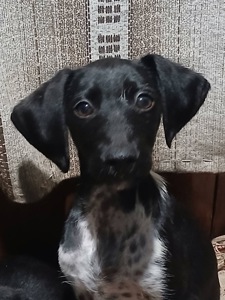 Маленький хлопчик шукає родину