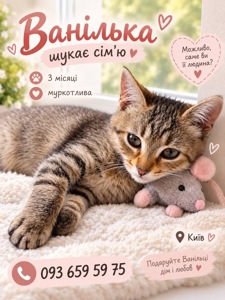 Ванілька