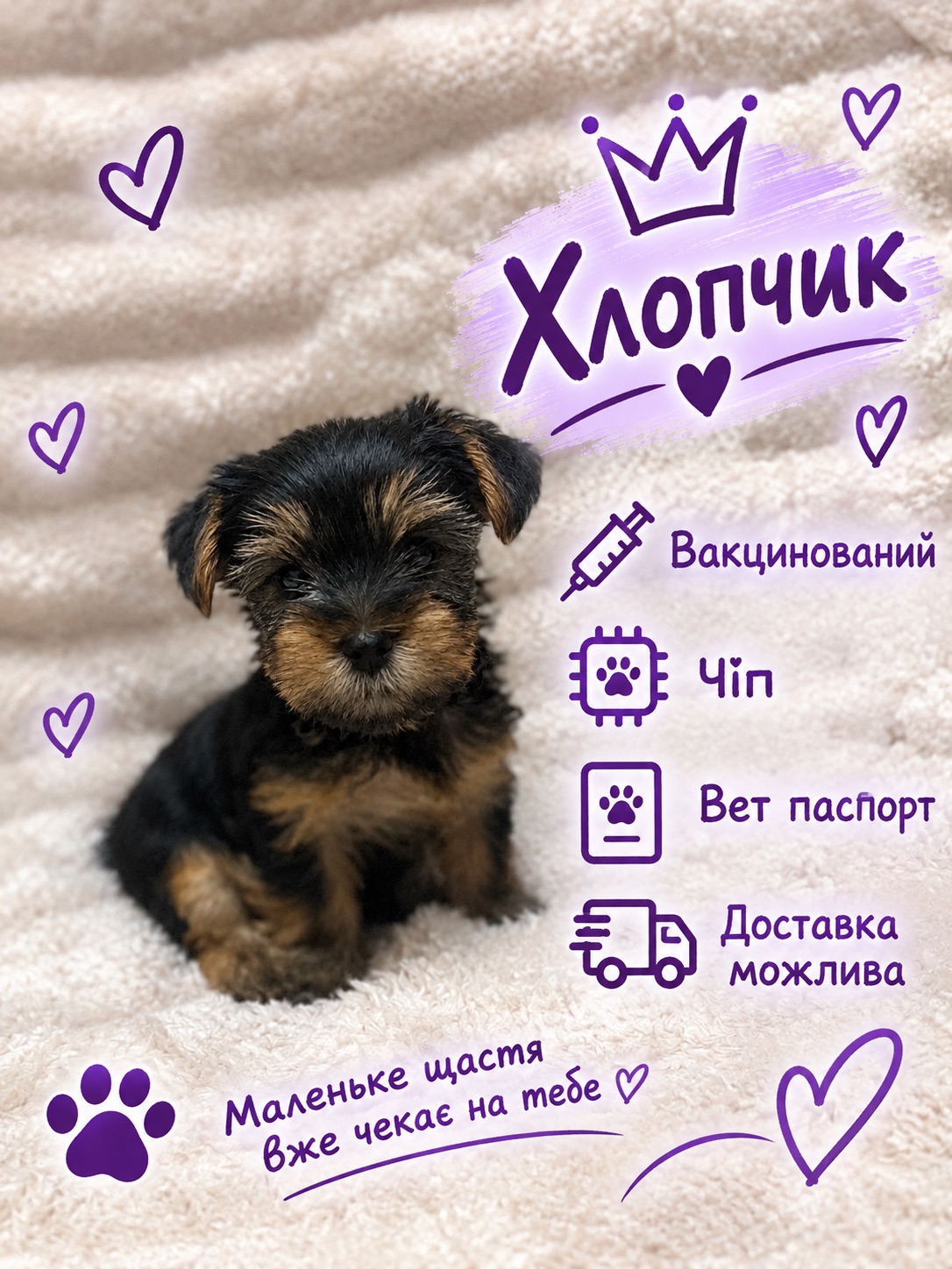 Малюки йорки вже чекають на тебе 🐶