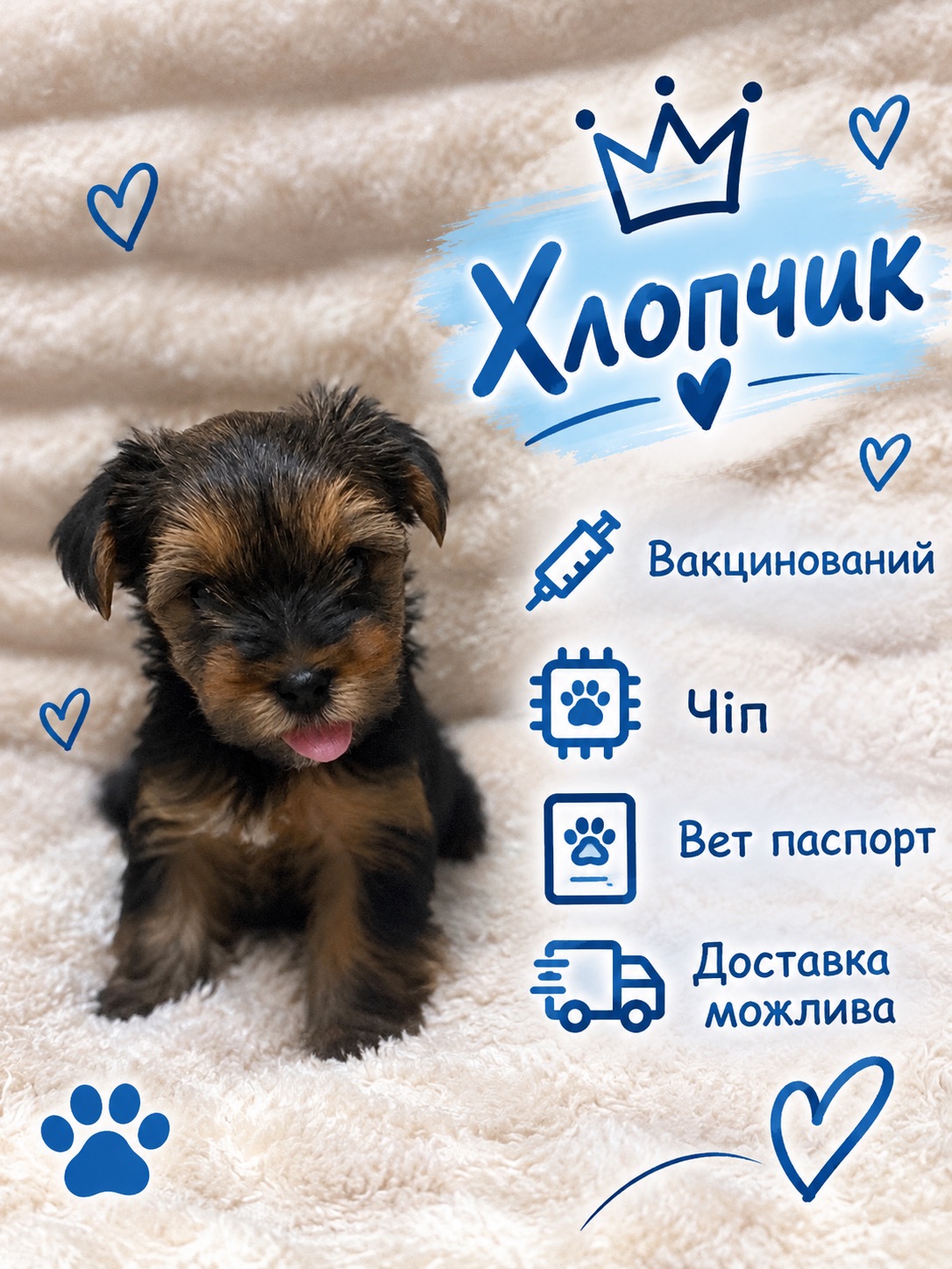 Малюки йорки вже чекають на тебе 🐶