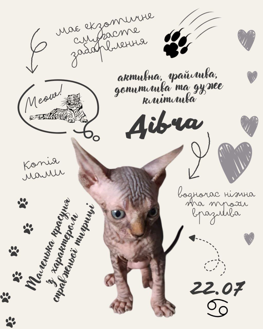 Канадські сфінкси