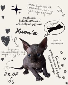 Канадські сфінкси