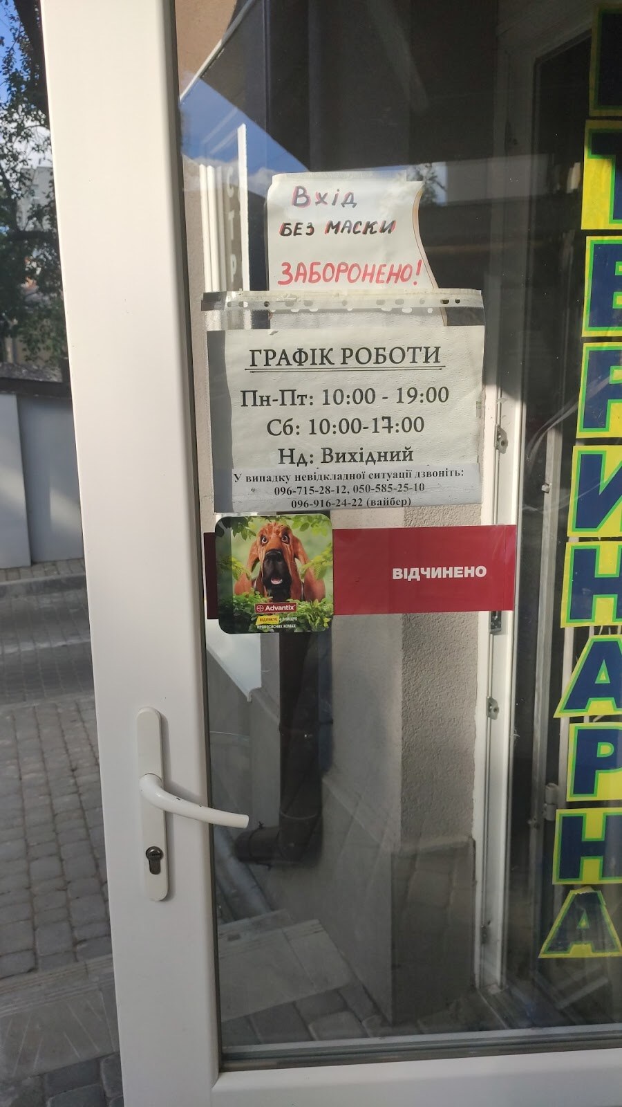ВетДок