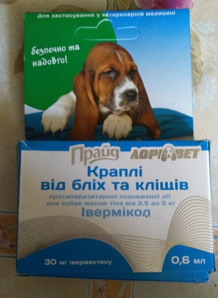 Зоомагазин «Лев»
