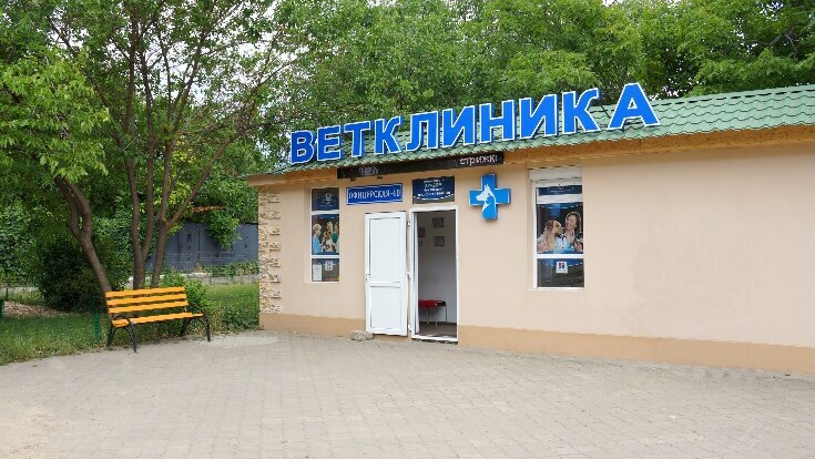 ВЕТЕРИНАРНАЯ КЛИНИКА на Офицерской