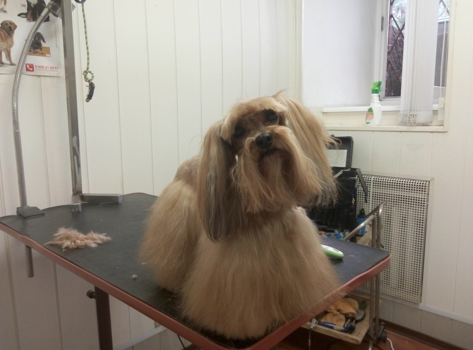 Grooming Ольги Слюсарь