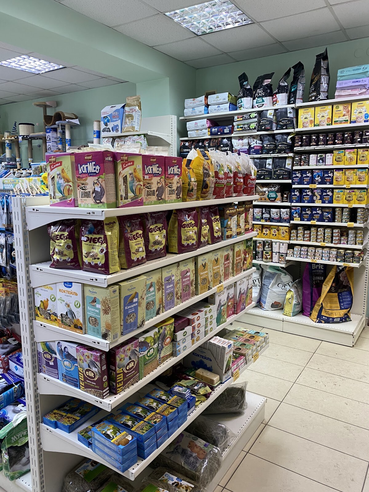 ZOOРодина