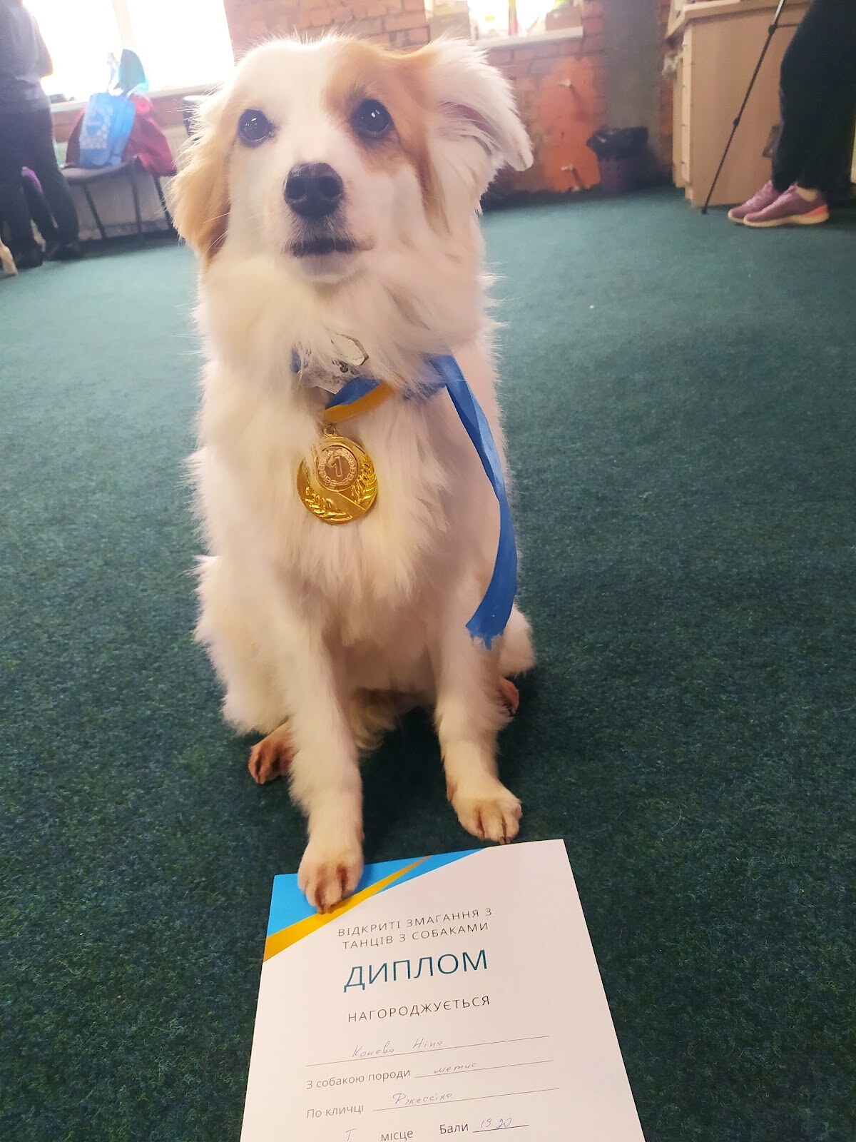 Capital Dog Training