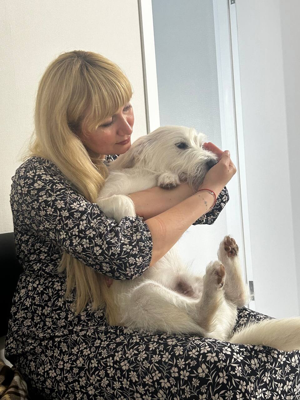 Ветеринарна клініка «Vet for pet»